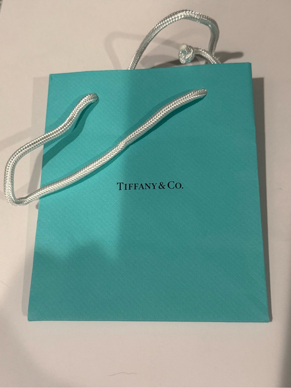 Tiffany & Co. Iconic Blue Gift Bag